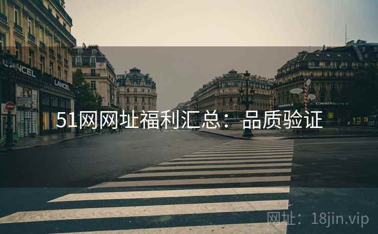 51网网址福利汇总：品质验证