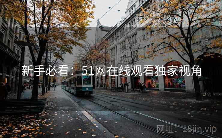 新手必看：51网在线观看独家视角
