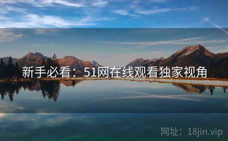 新手必看：51网在线观看独家视角