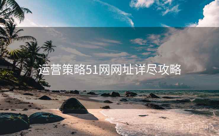 运营策略51网网址详尽攻略