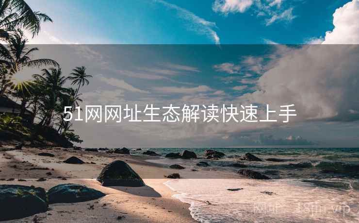 51网网址生态解读快速上手
