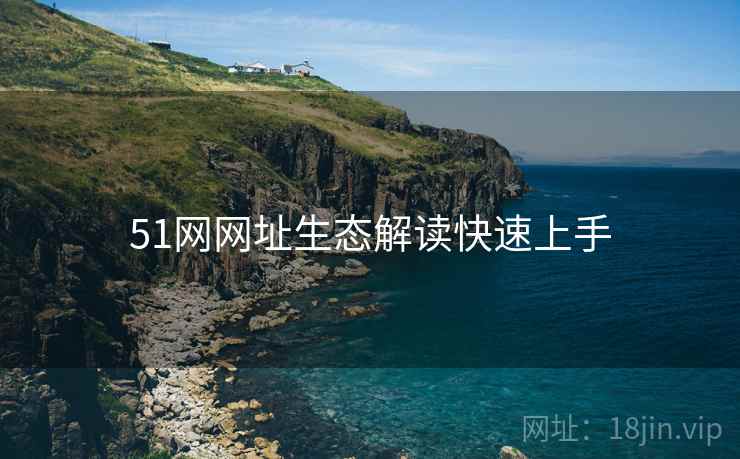 51网网址生态解读快速上手