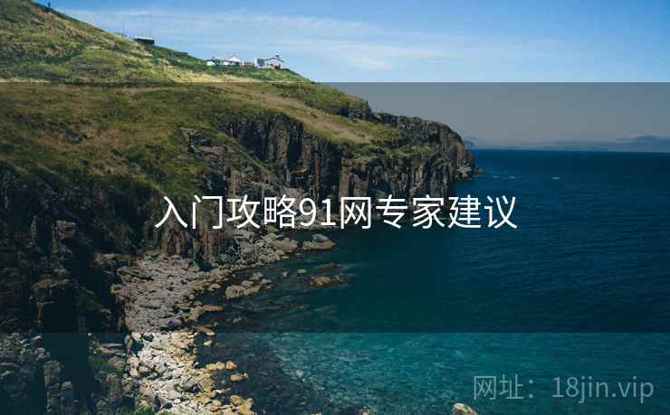 入门攻略91网专家建议
