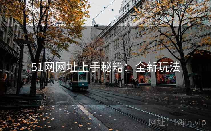 51网网址上手秘籍：全新玩法