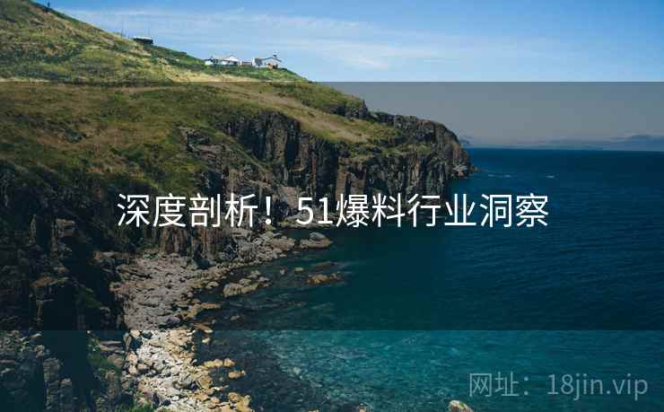 深度剖析！51爆料行业洞察