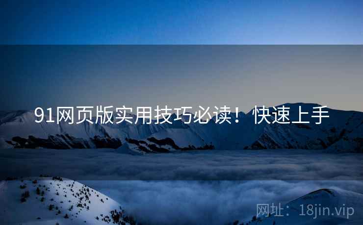 91网页版实用技巧必读！快速上手