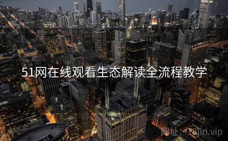 51网在线观看生态解读全流程教学