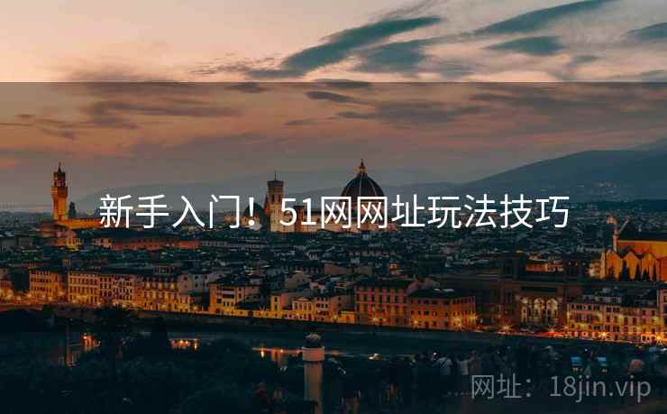 新手入门！51网网址玩法技巧