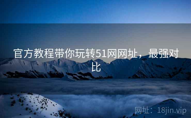 官方教程带你玩转51网网址，最强对比