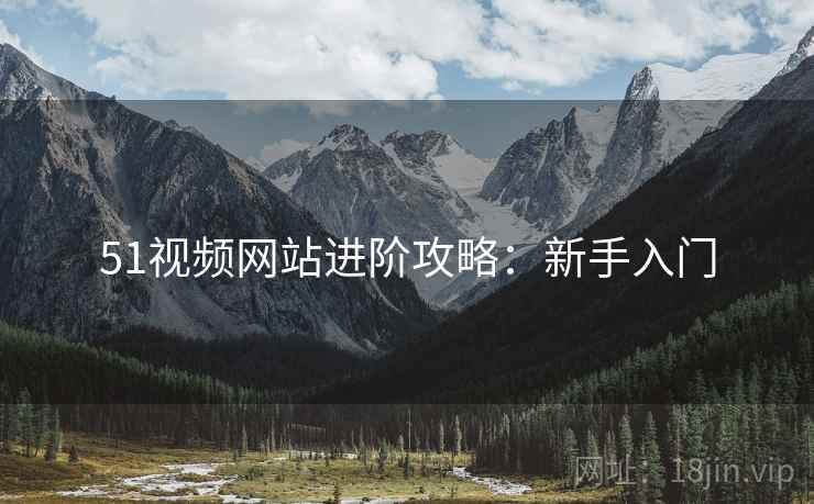 51视频网站进阶攻略：新手入门