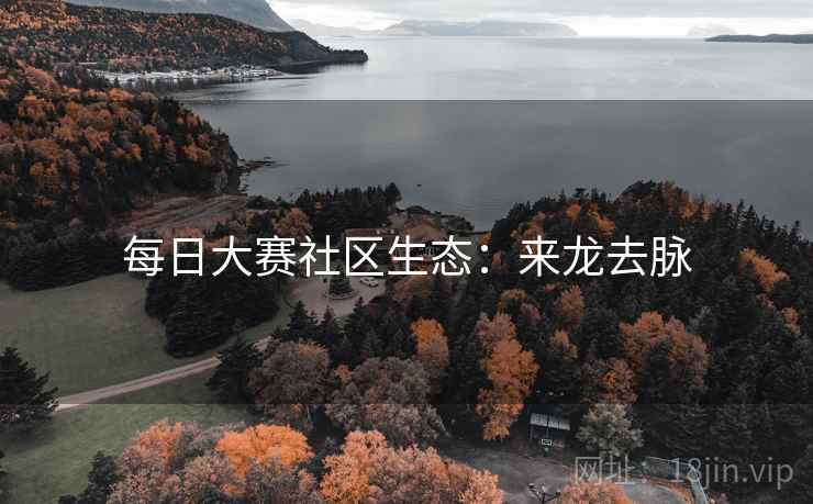 每日大赛社区生态：来龙去脉