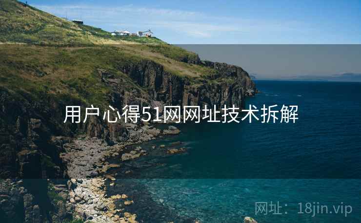 用户心得51网网址技术拆解