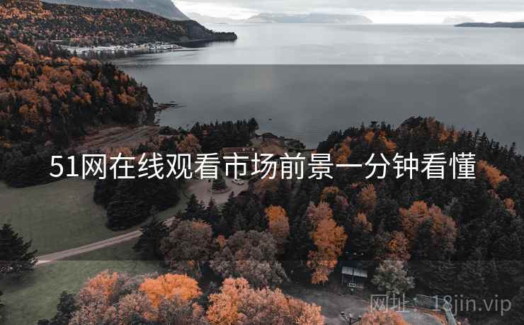 51网在线观看市场前景一分钟看懂