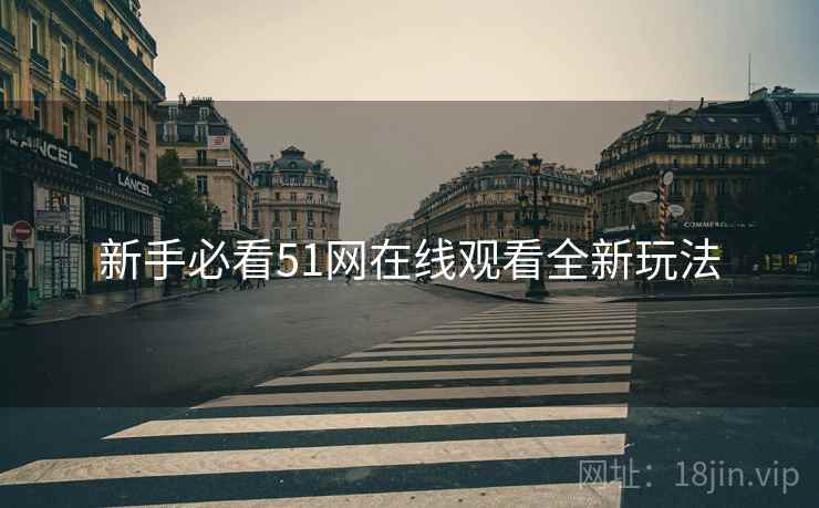新手必看51网在线观看全新玩法