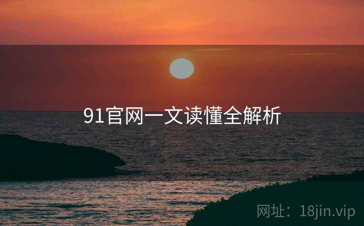 91官网一文读懂全解析